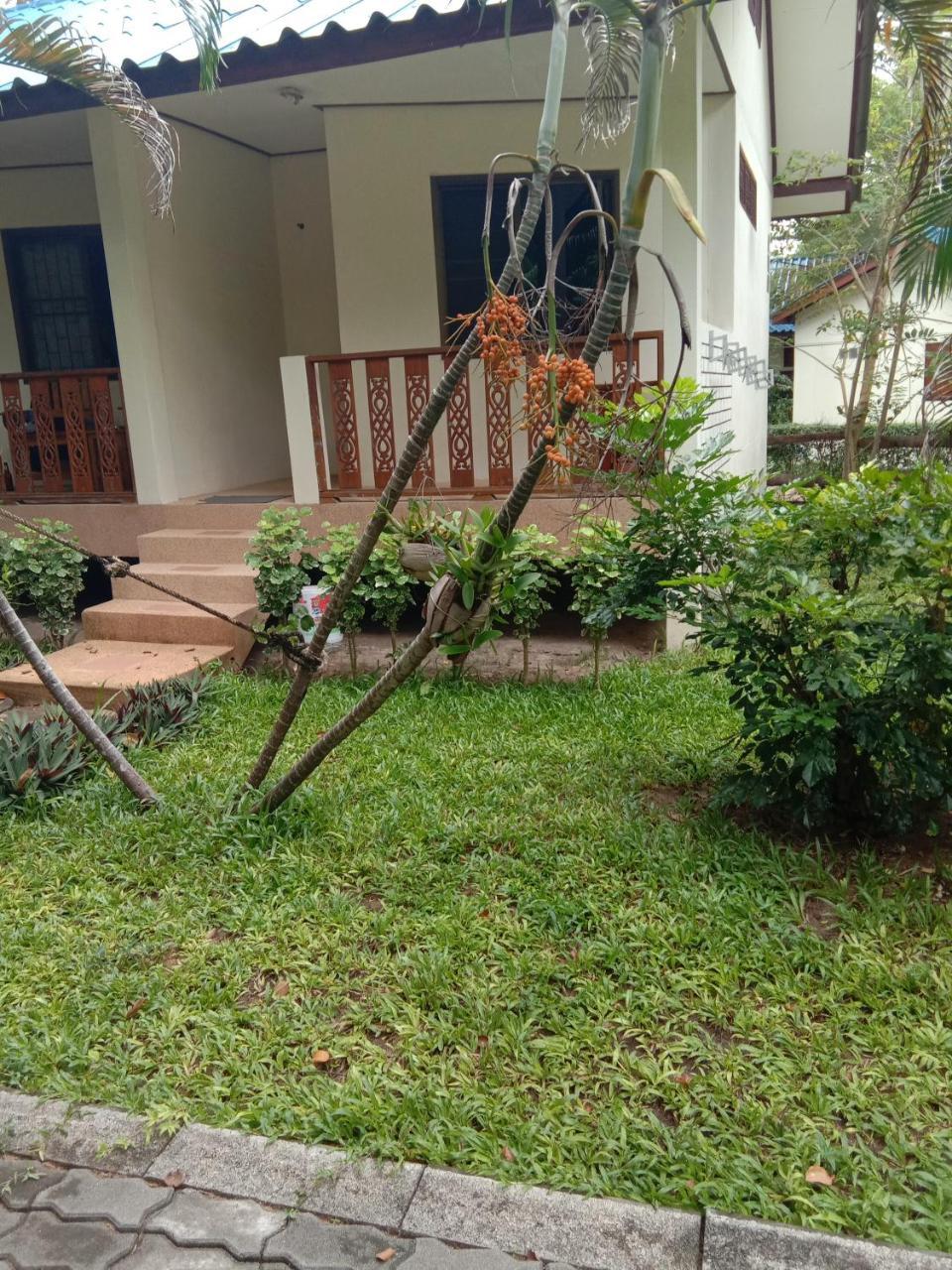 קו טאו Prik Thai Resort מראה חיצוני תמונה