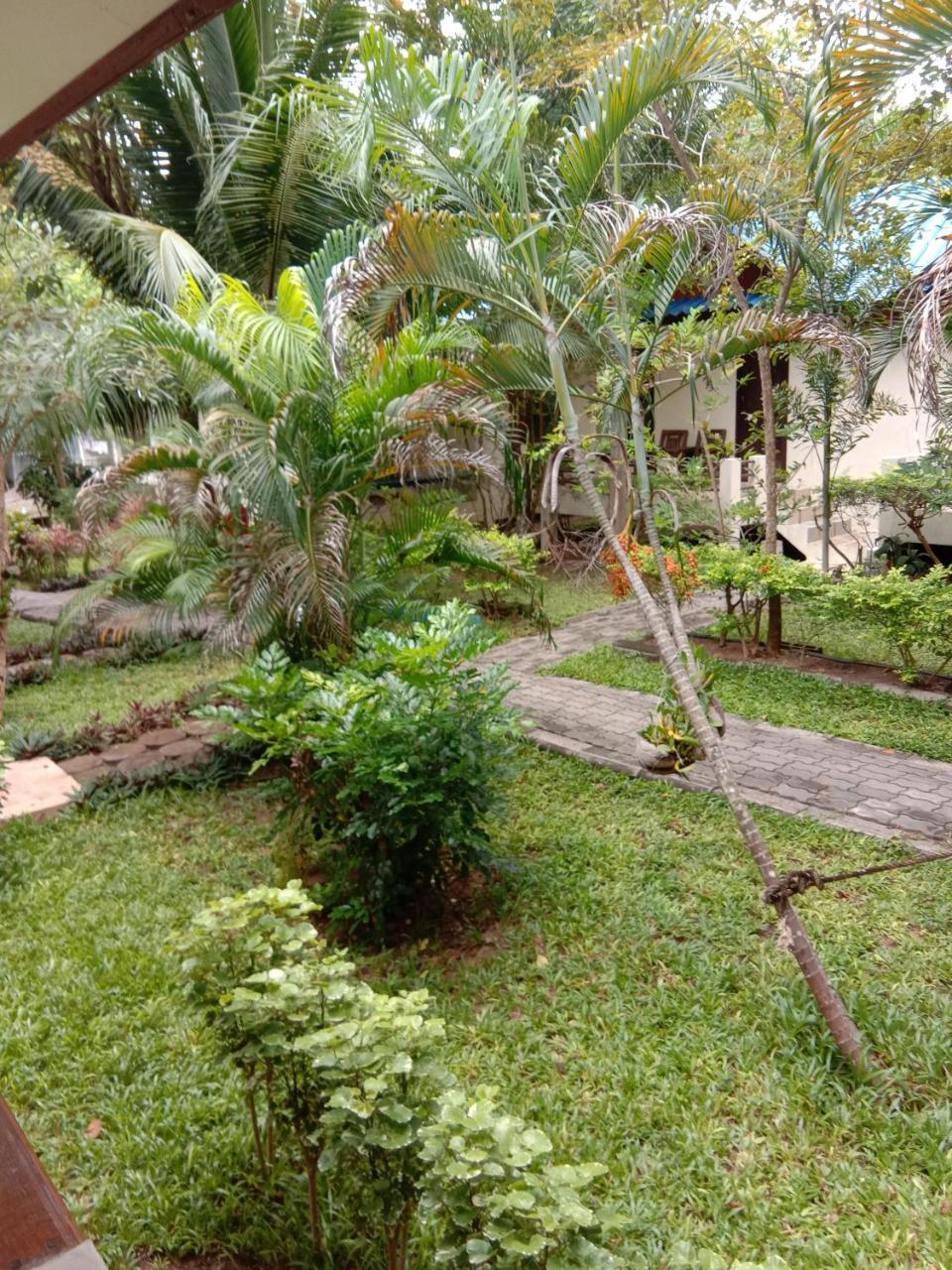 קו טאו Prik Thai Resort מראה חיצוני תמונה